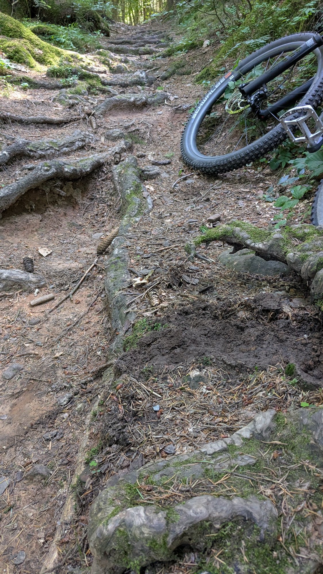 PXL_20250612_132128475.jpg