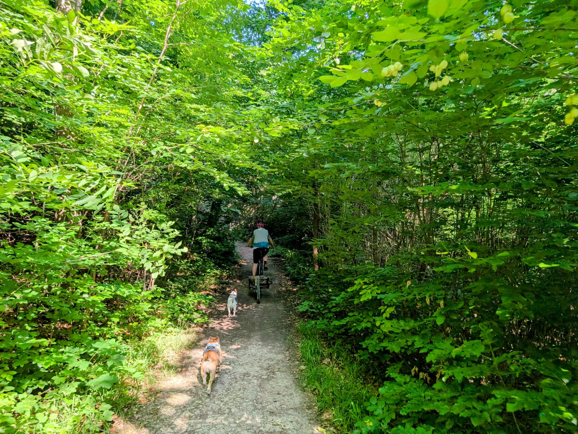 PXL_20250614_070559942.MP~2.jpg