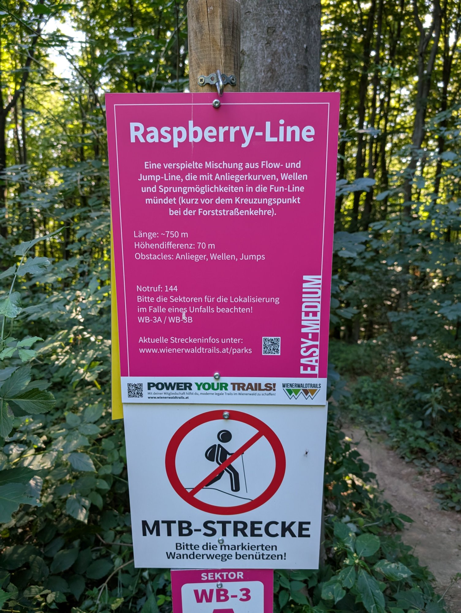 PXL_20250825_071555601.MP.jpg