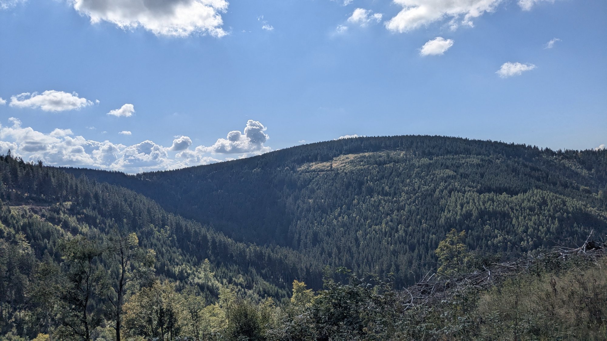 PXL_20250906_084359237.jpg