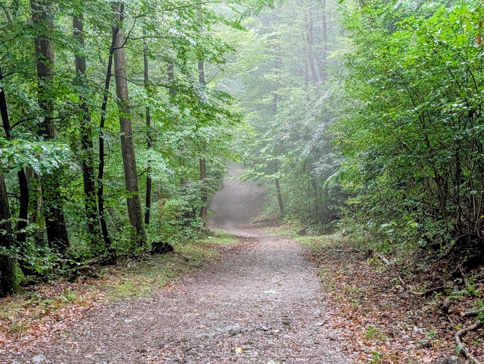 PXL_20250913_075145468.MP~2.jpg