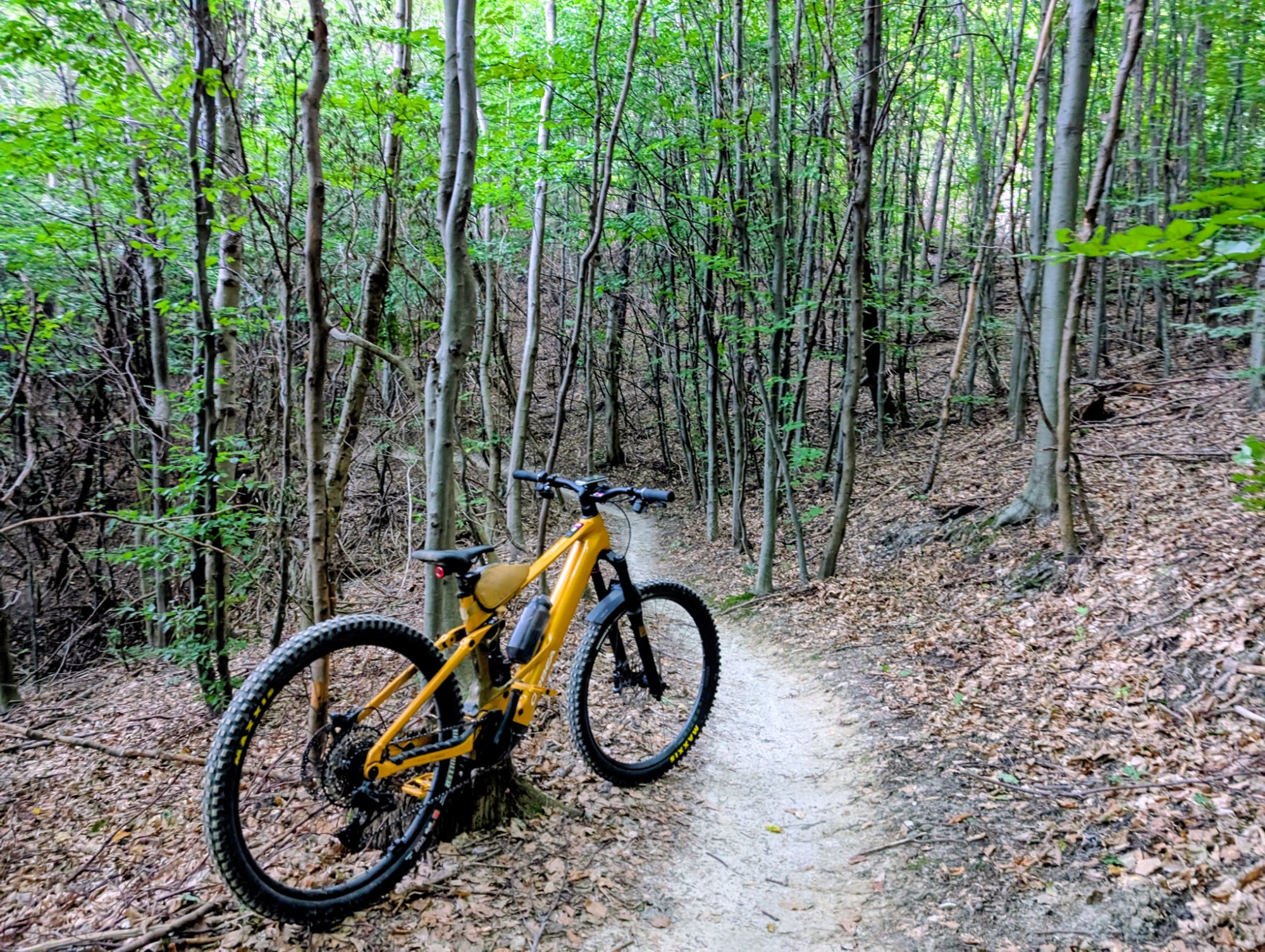 PXL_20250920_064136652.MP~2.jpg