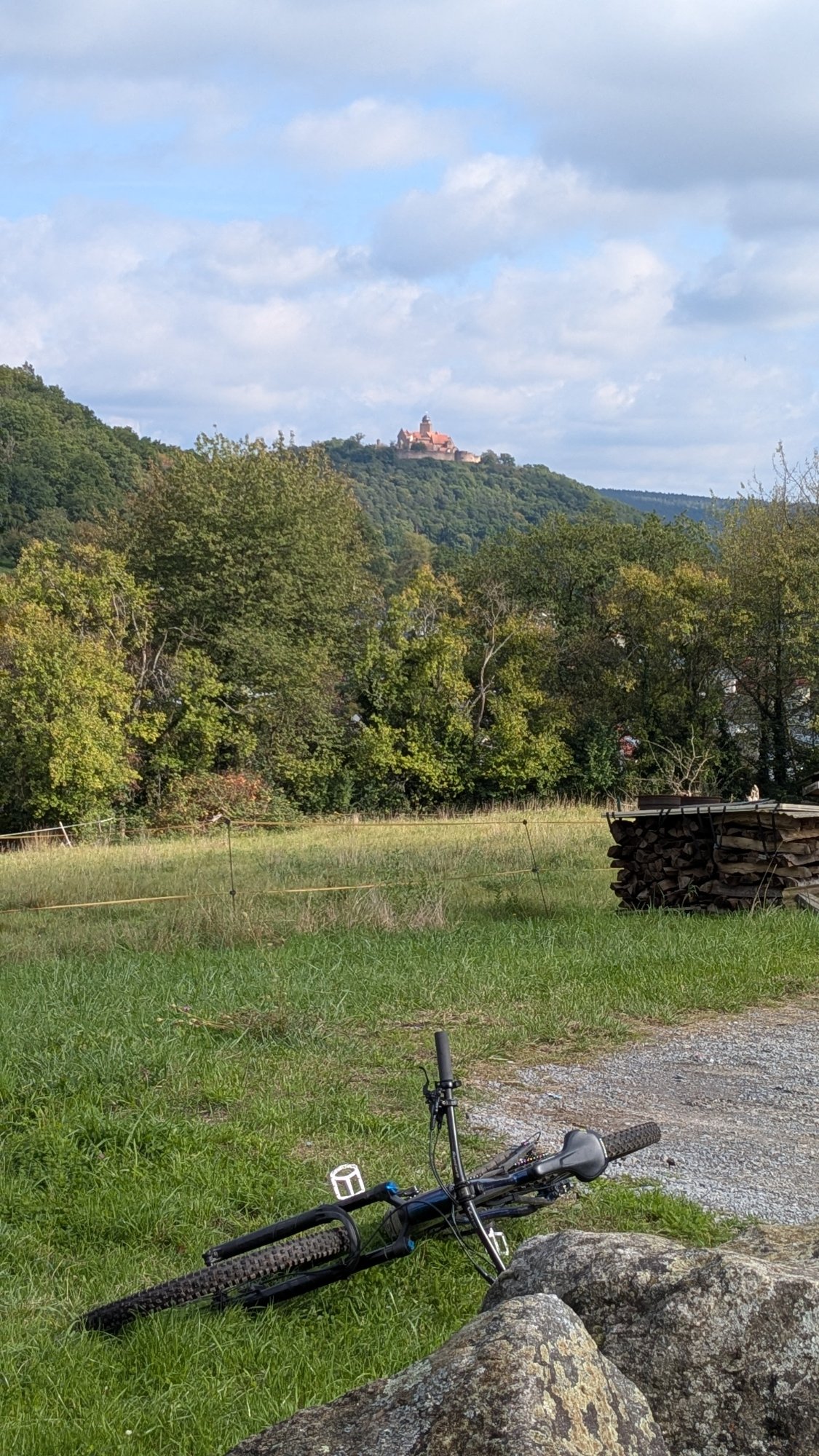 PXL_20250928_125530860.jpg