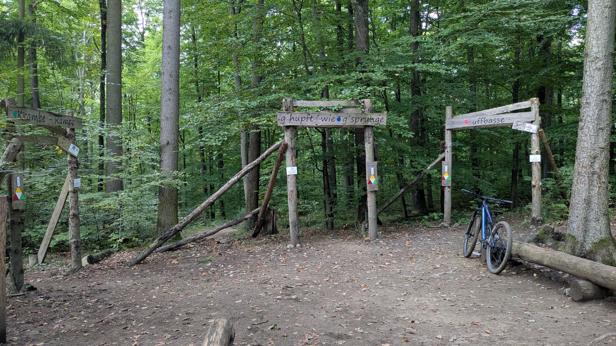 PXL_20250930_120459400.jpg