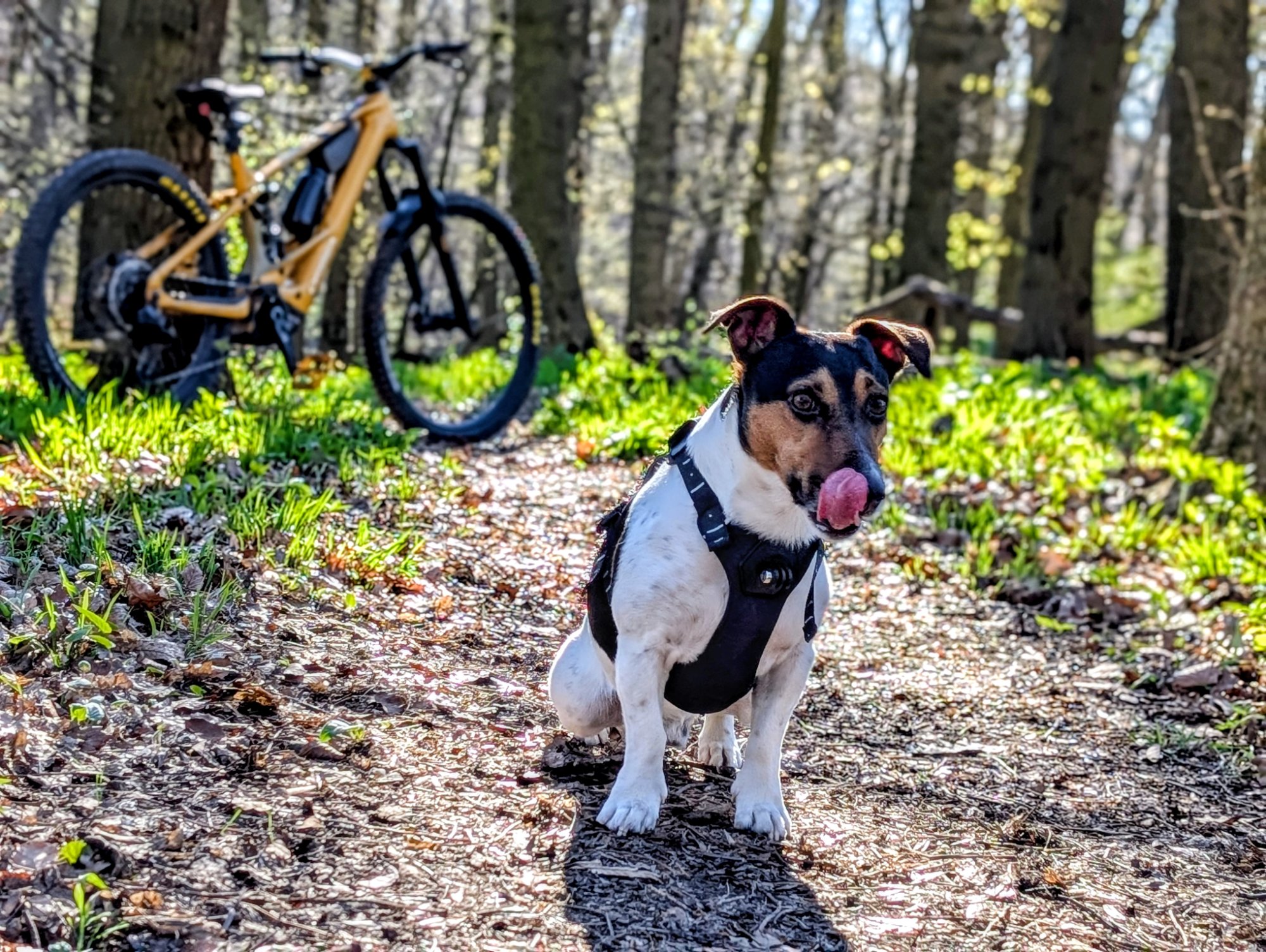 PXL_20260405_070957146.PORTRAIT~2.jpg