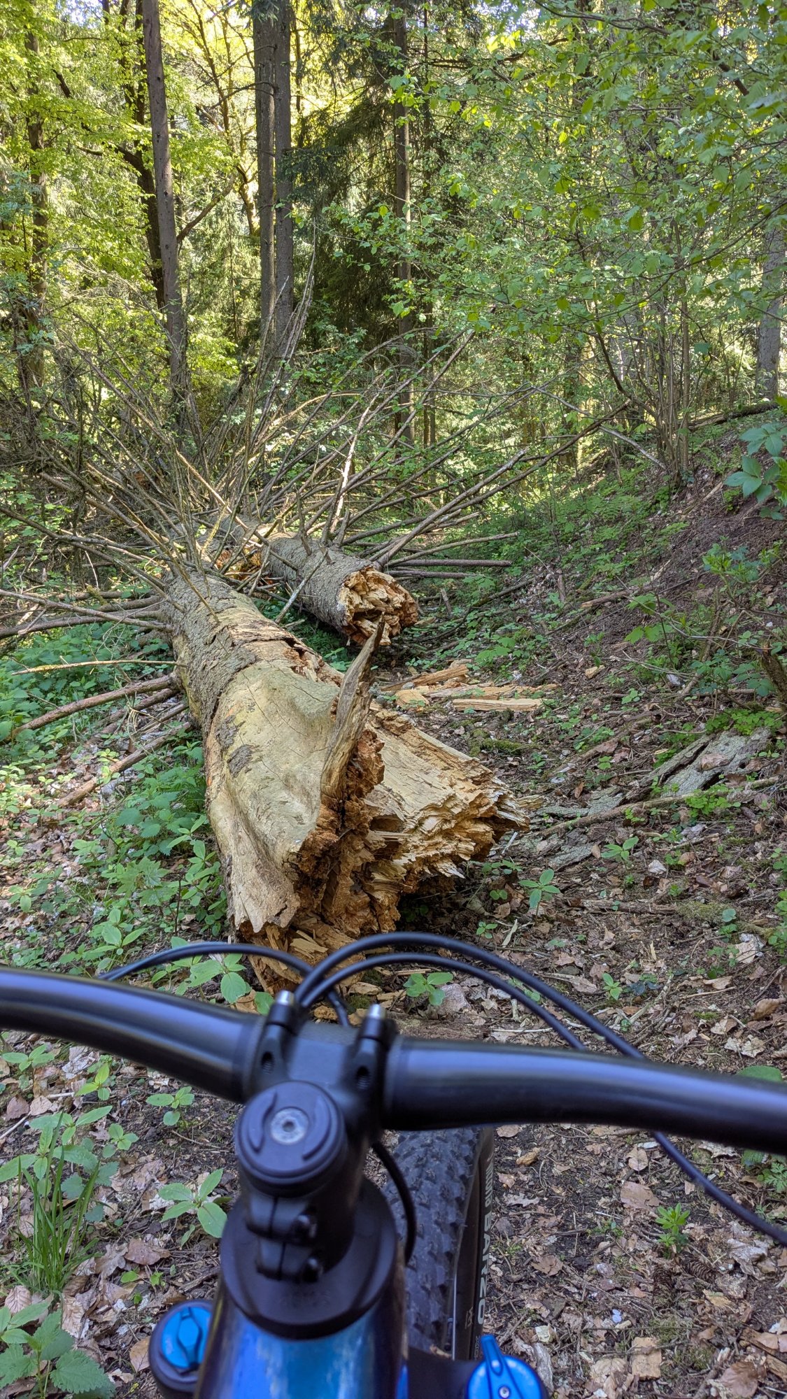 PXL_20260423_123111596.jpg