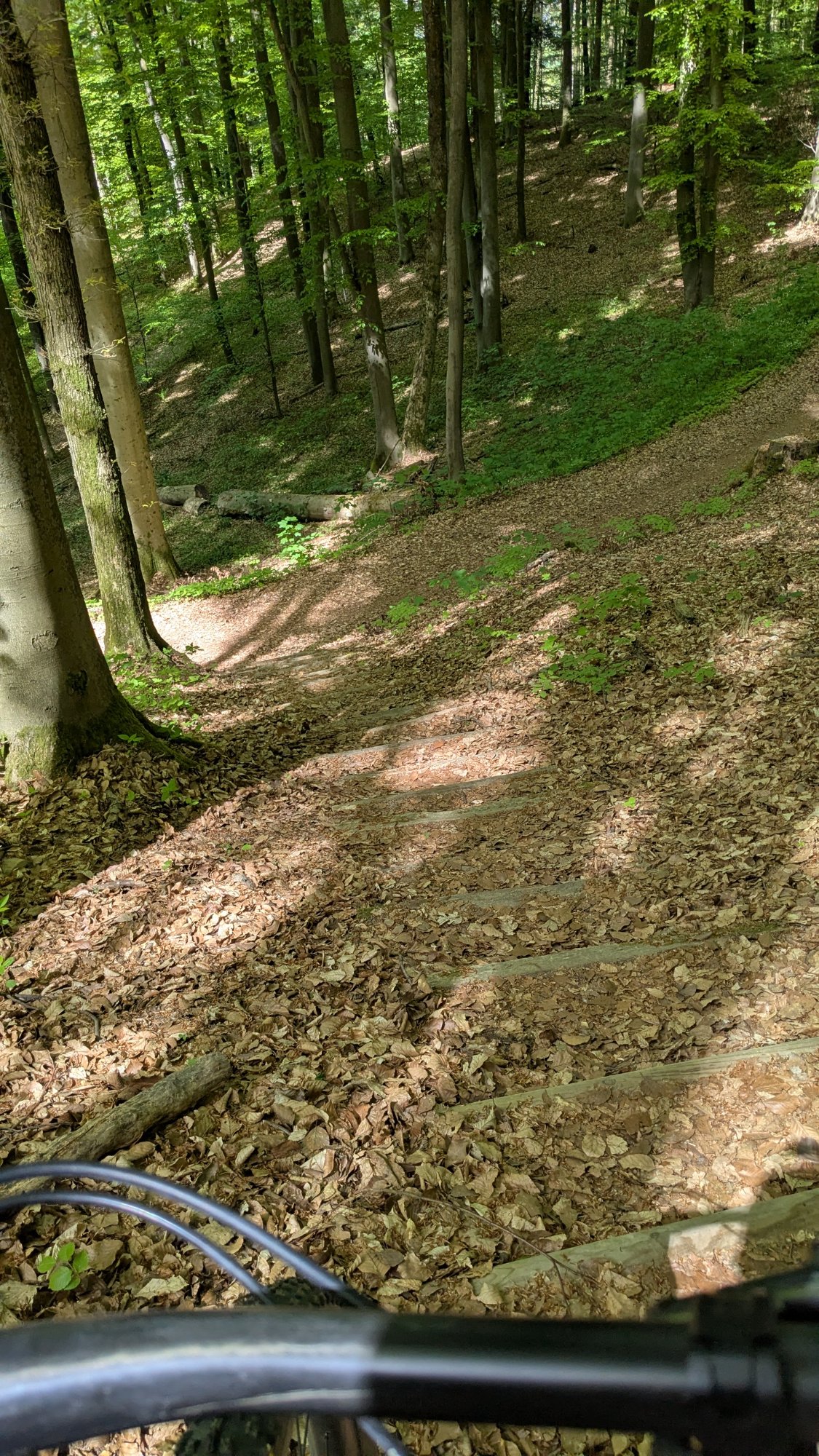 PXL_20260424_114422934.jpg