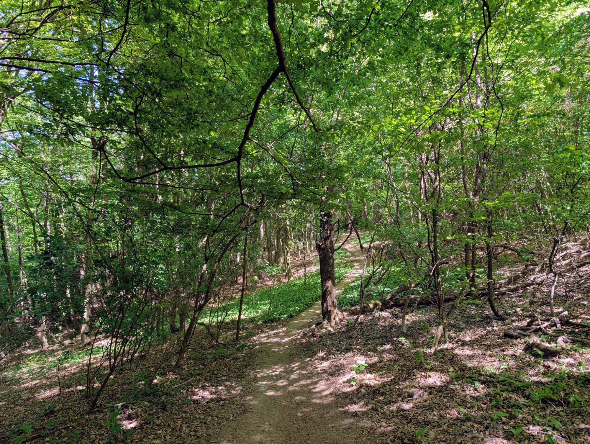 PXL_20260429_113814877.MP~2.jpg