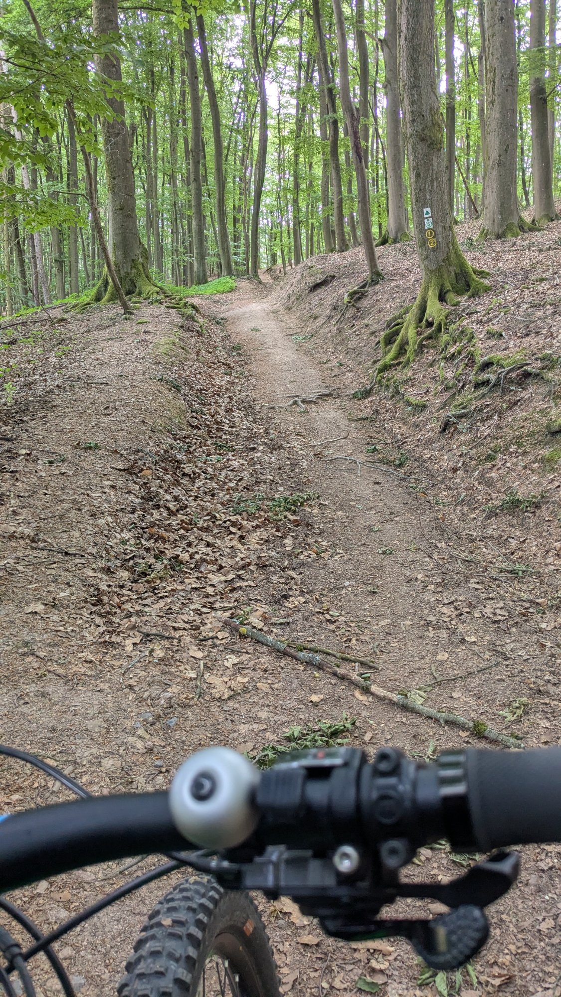 PXL_20260602_084837384.MP.jpg