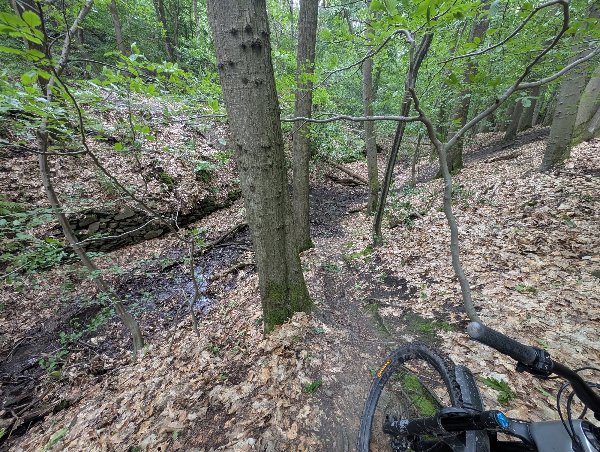 PXL_20260609_145944288.jpg