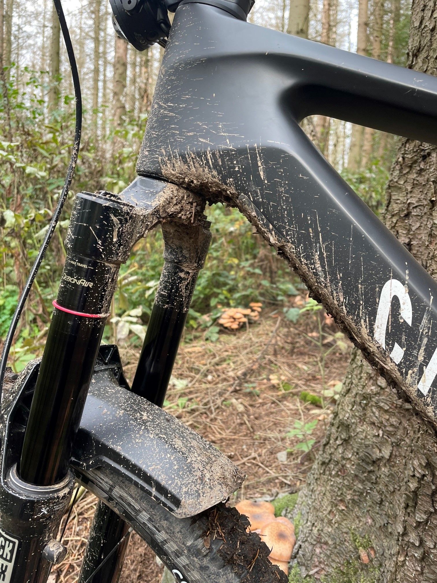 RockShox Fender am Canyon.jpg