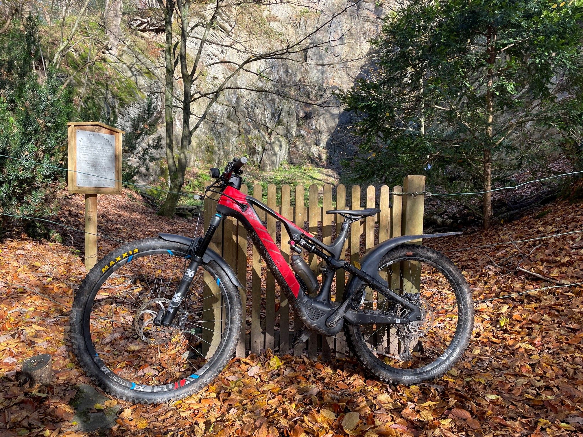 Rotwild am Alpenverein.jpg