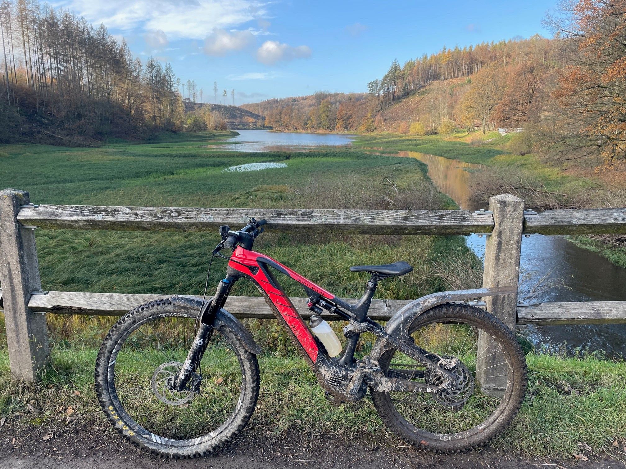 Rotwild an der Ennepesperre.jpg