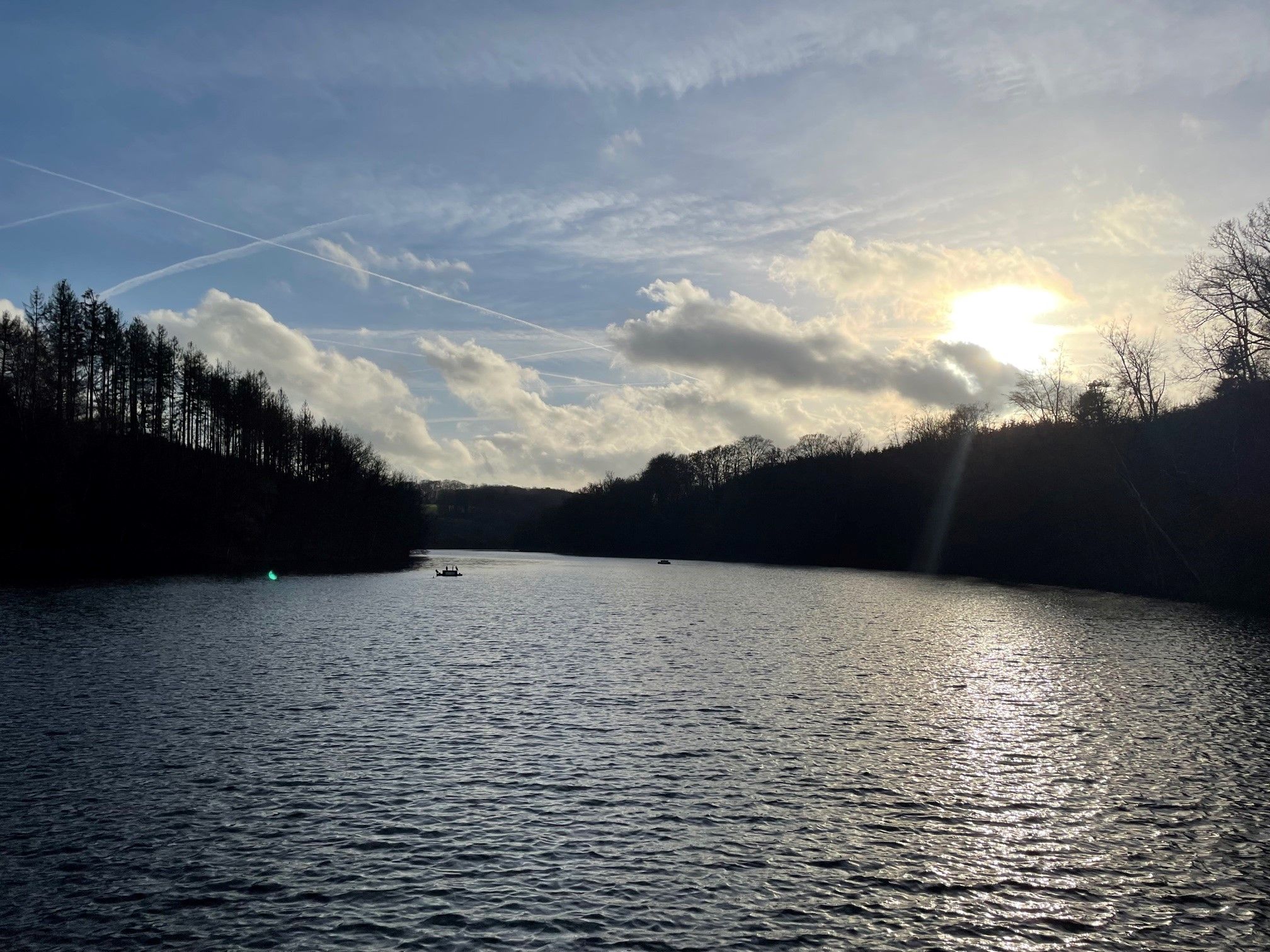 Rotwild an der Heilenbecke.jpg