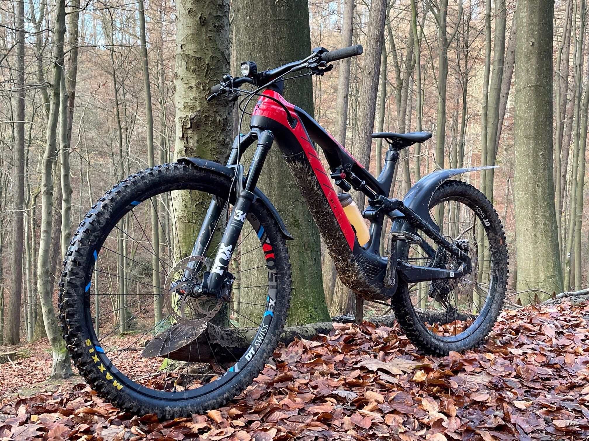 Rotwild auf dem Trail 2.jpg