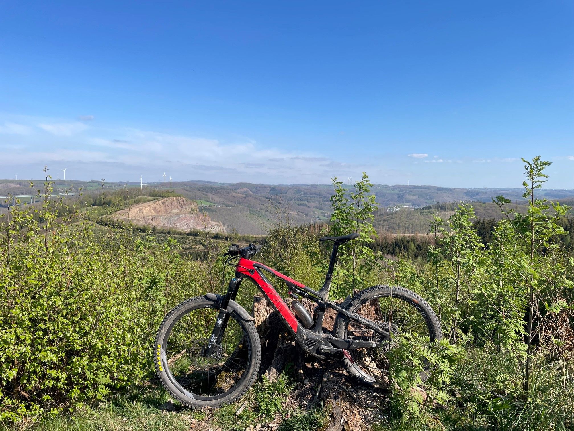 Rotwild mit Panorama 2.jpg