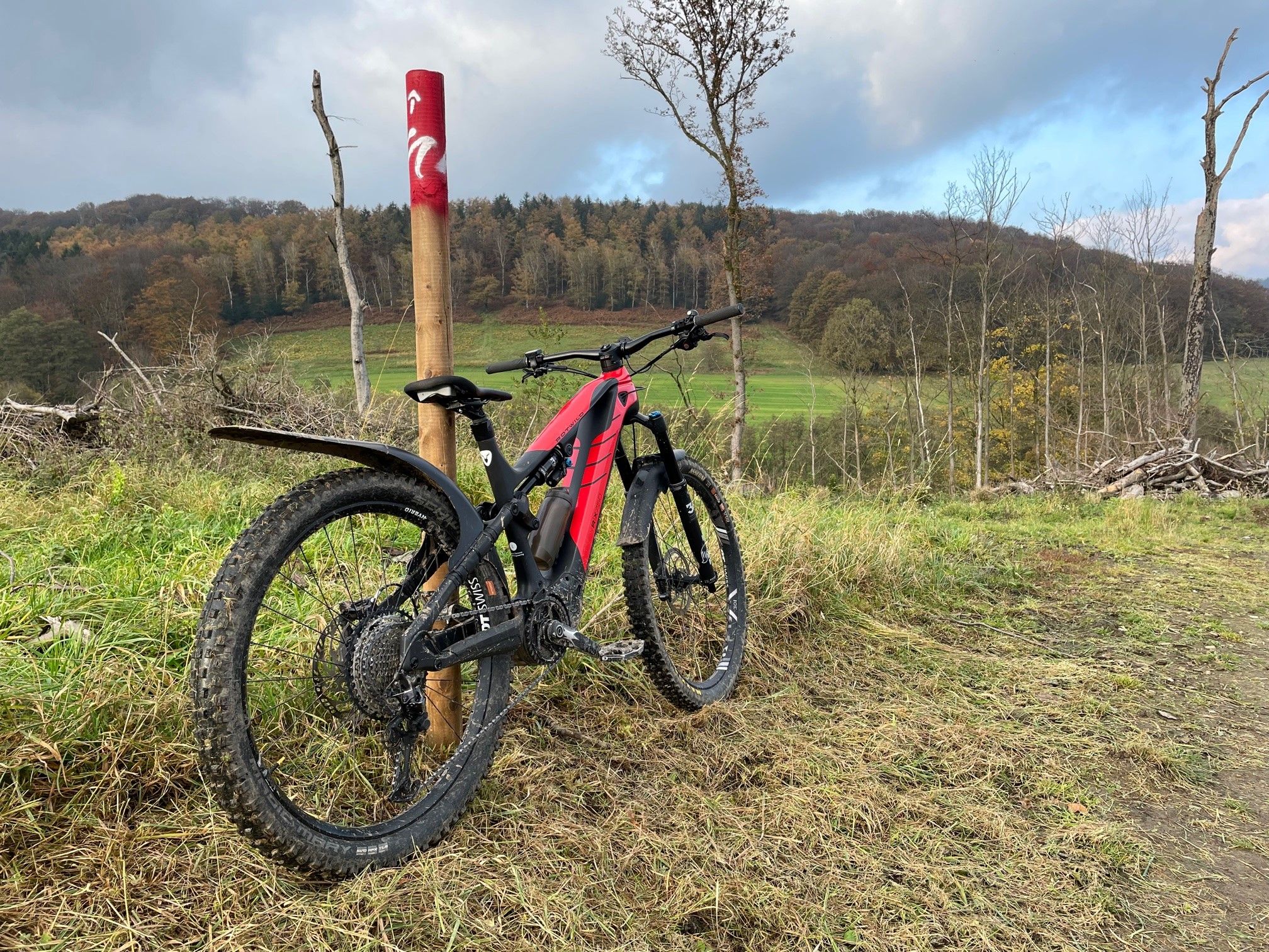 Rotwild Nizza Trail 1.jpg