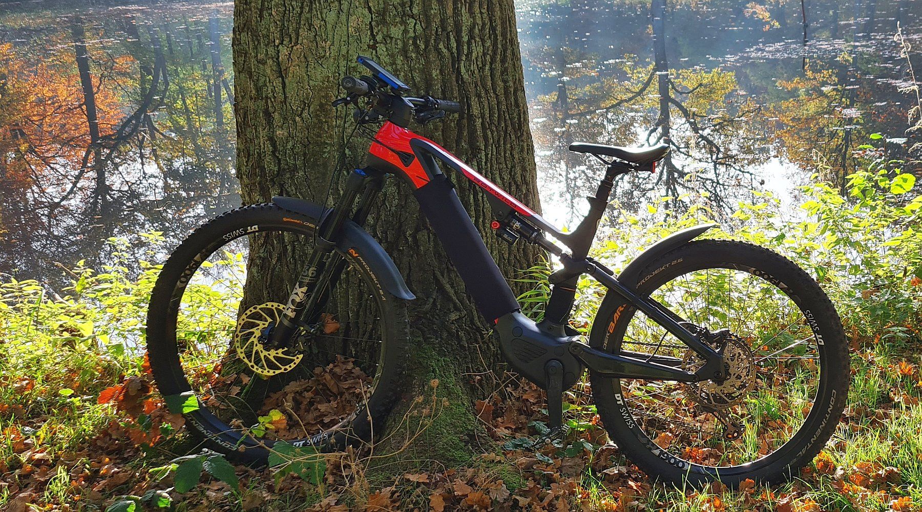 Rotwild_Schutzblech_04.jpg
