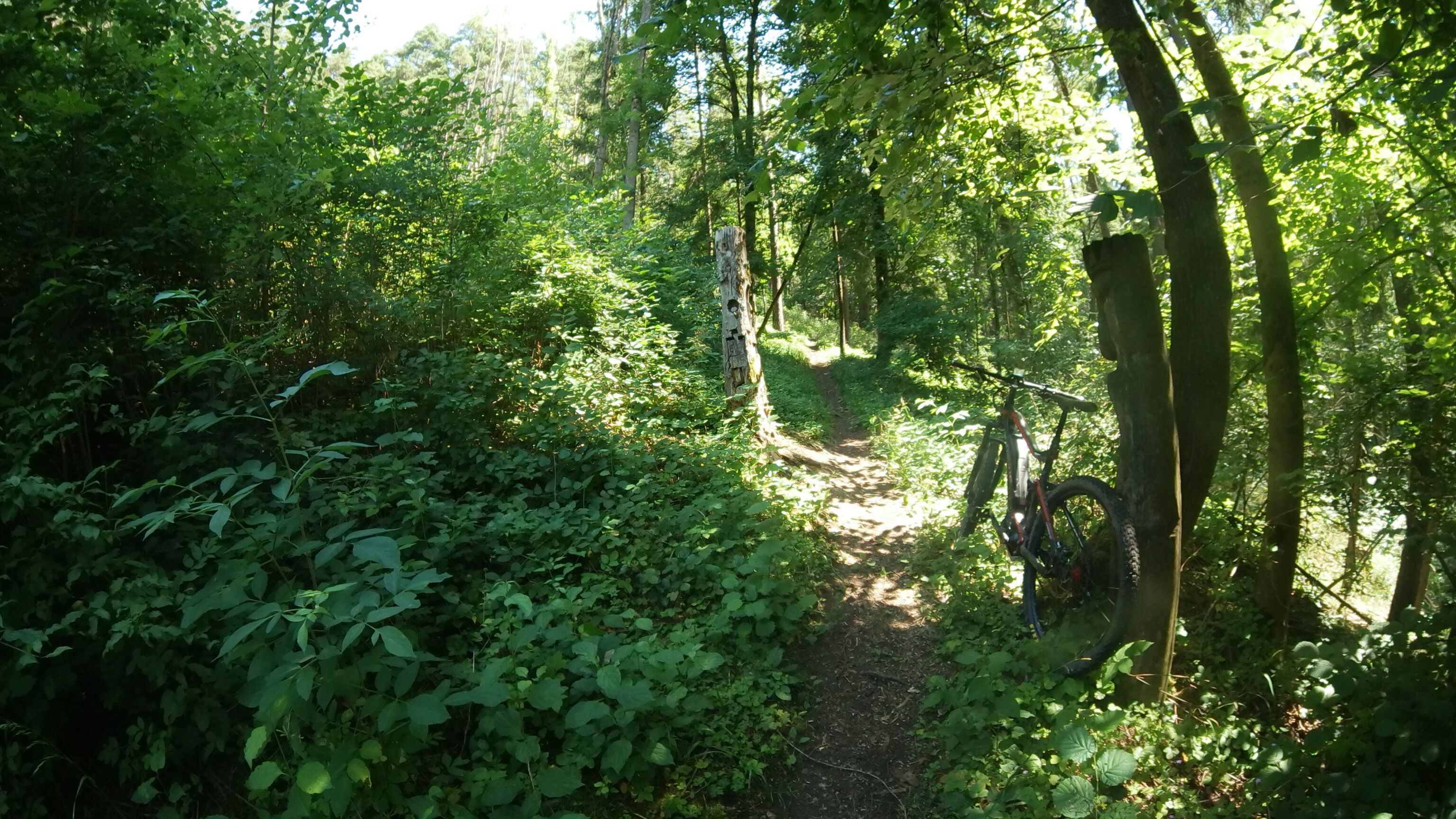 SAM_0207.JPG