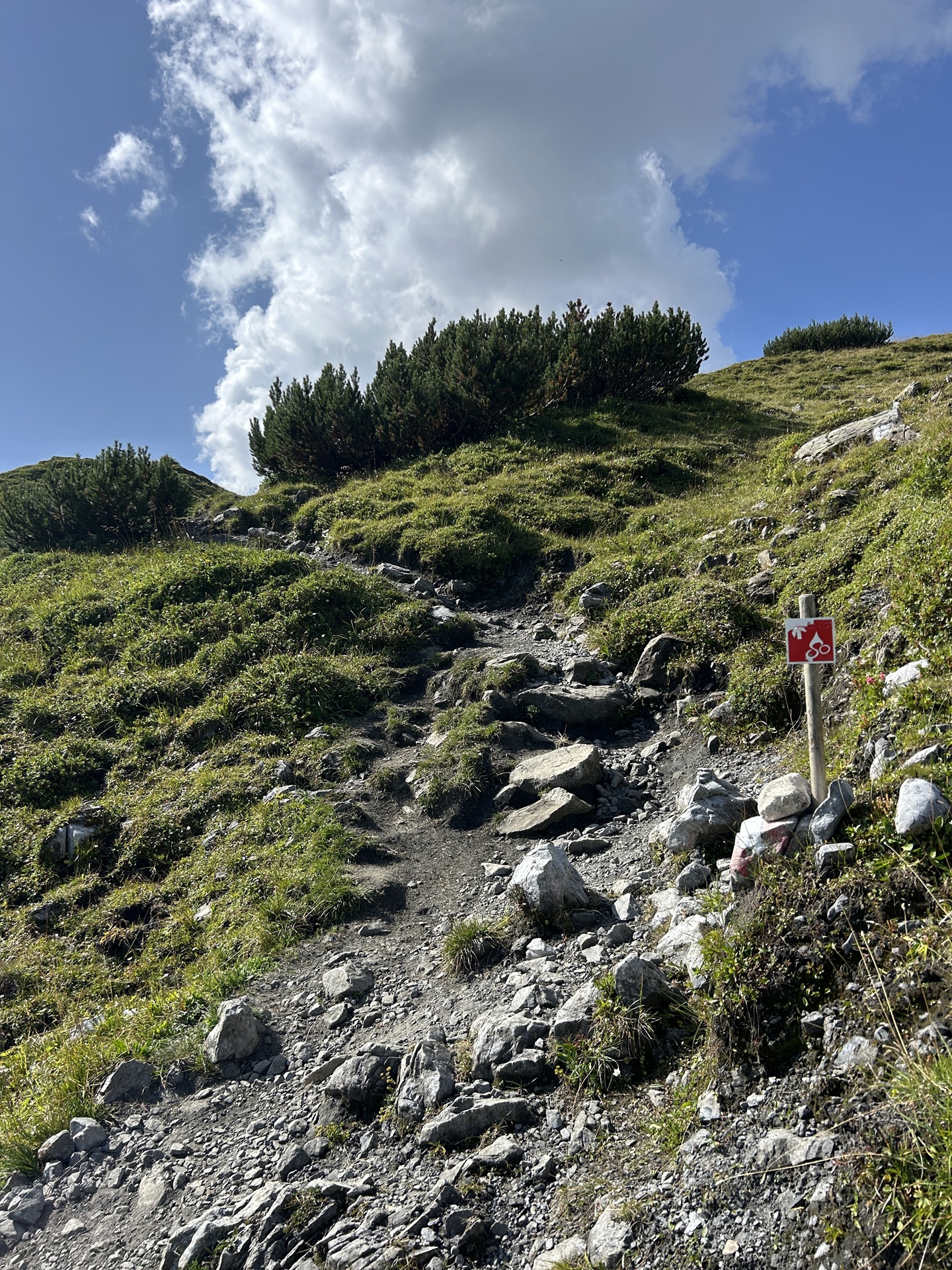 Schiebe-Tragepassage Oberhuette 2.jpg