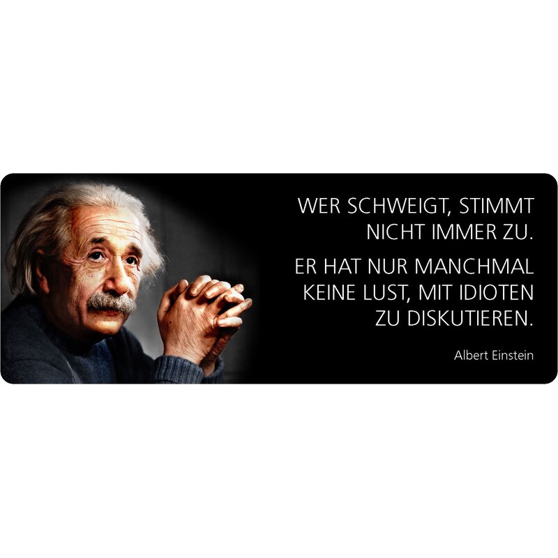schild-spruch-keine-lust-mit-idioten-zu-diskutieren-einstein-27-x-10-cm-blechschild.jpg