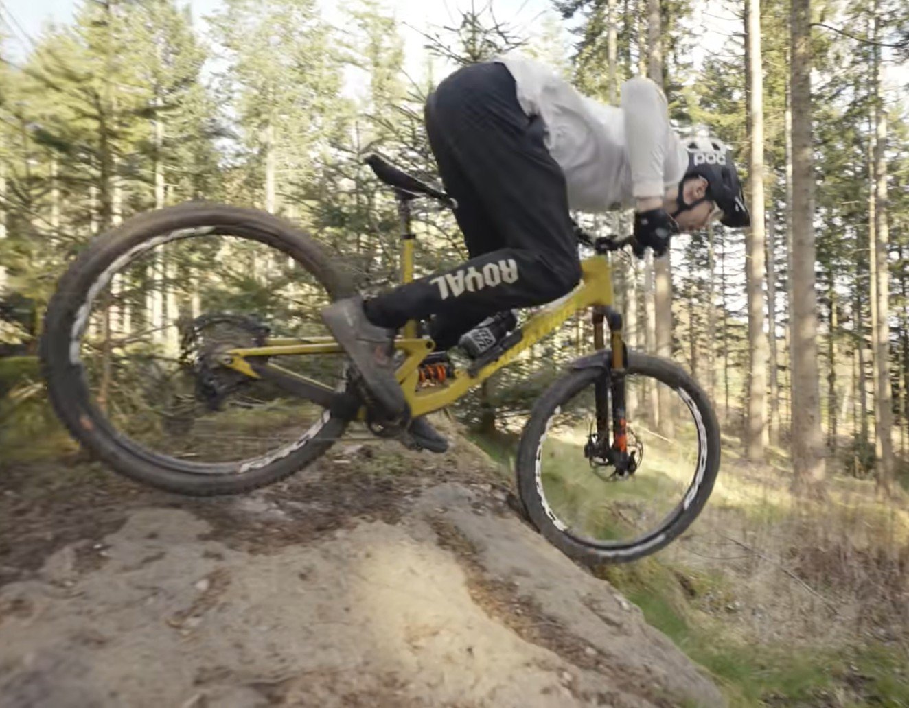 Screenshot 2025-11-06 174302.jpg