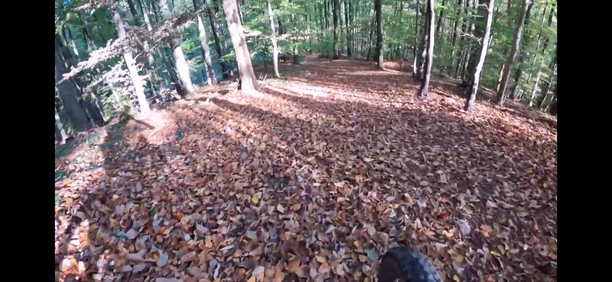 Screenshot_20221103-092220_YouTube.jpg