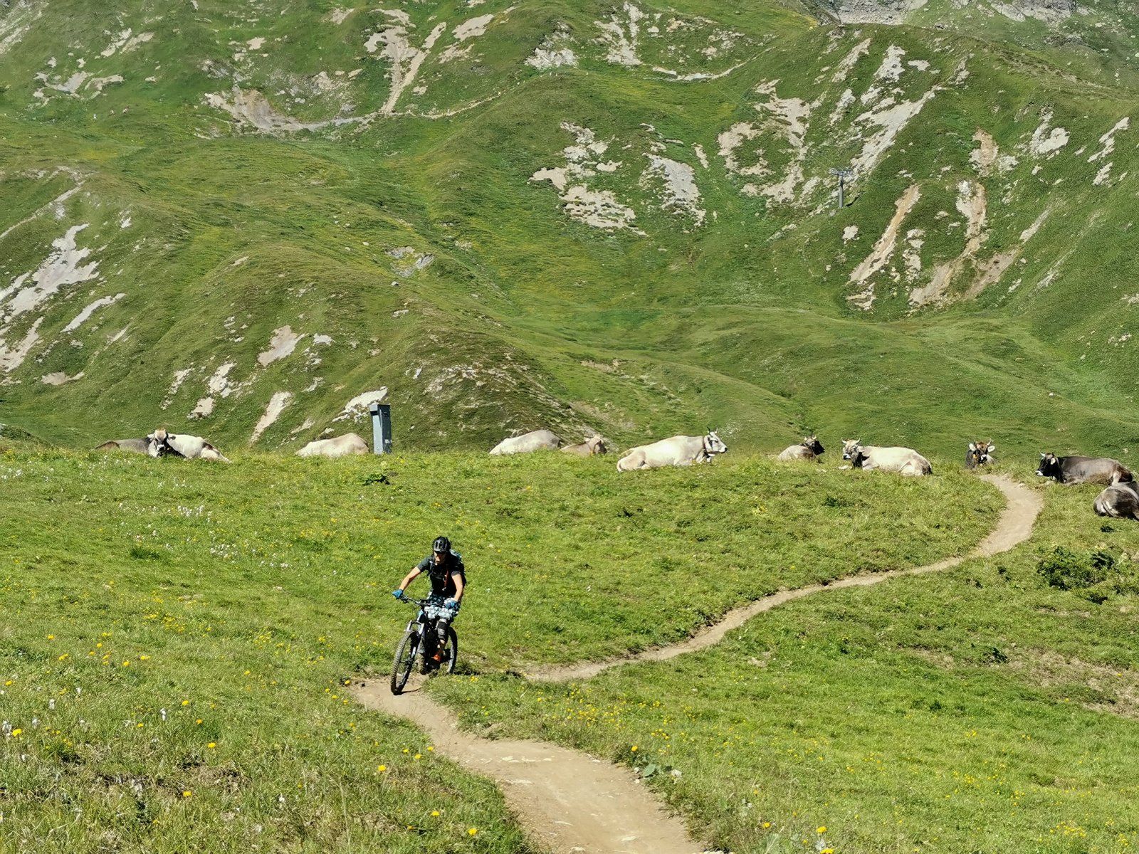 Serfaus Tag4 06.jpg