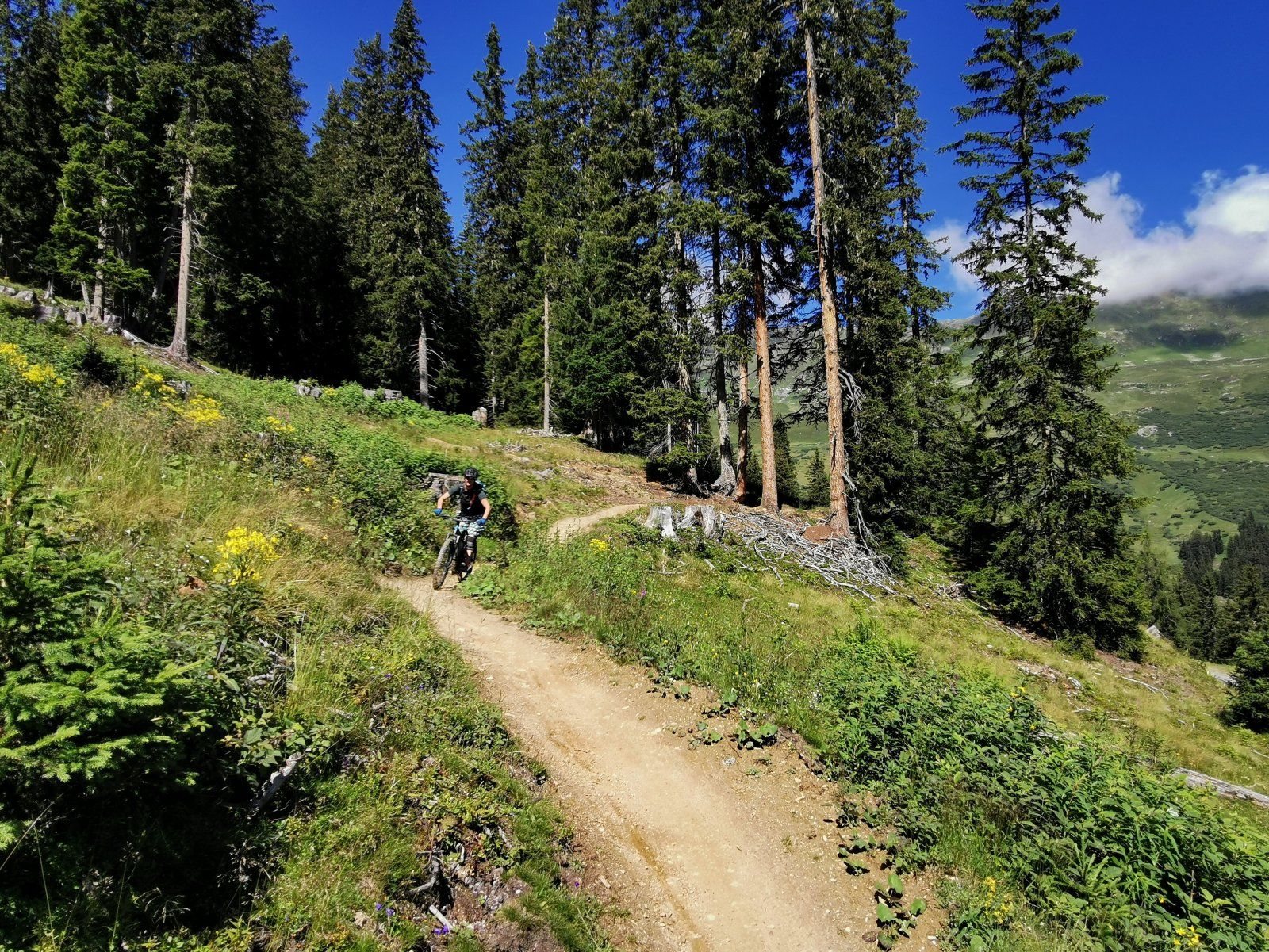 Serfaus Tag4 11.jpg