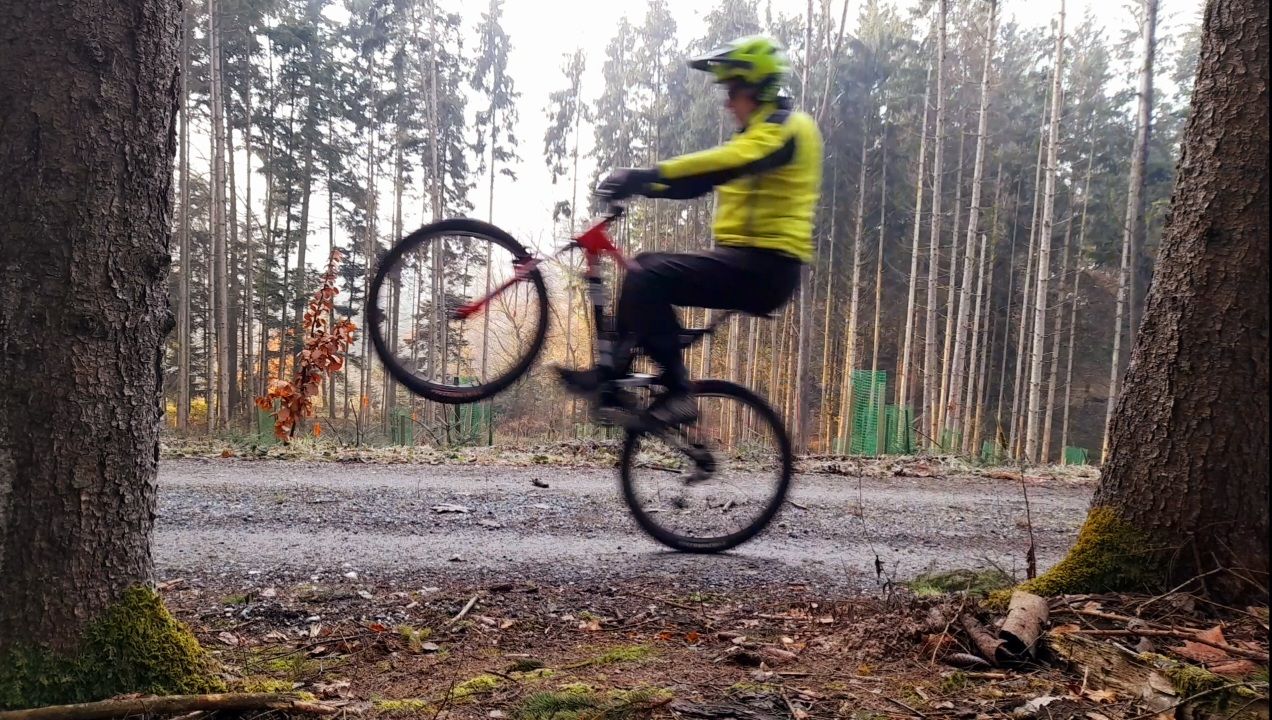SilvesterWheelie.jpg