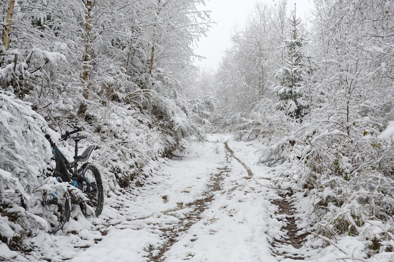 Snow-Ride 2.jpg