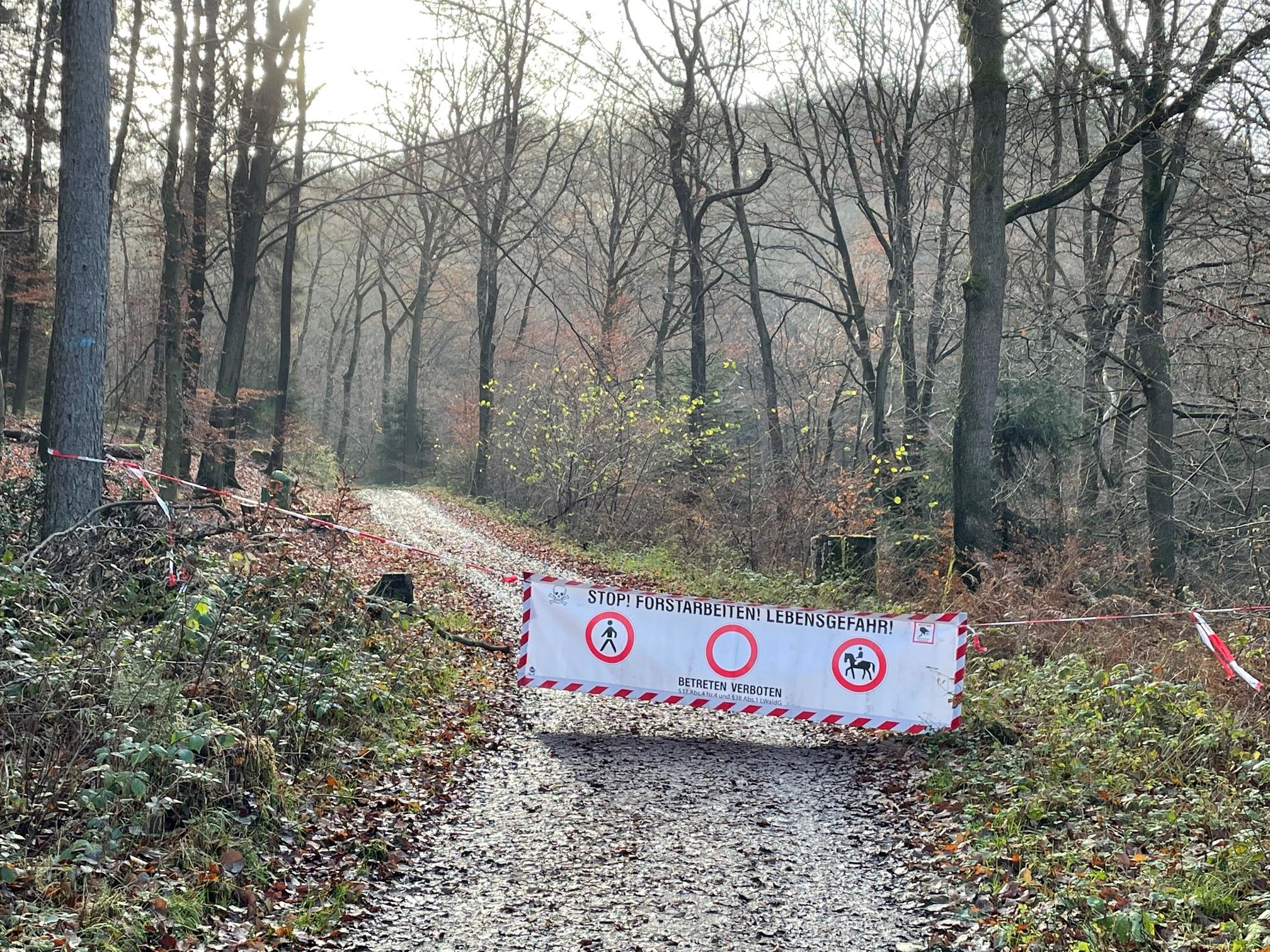 Stop Forstarbeiten.jpg