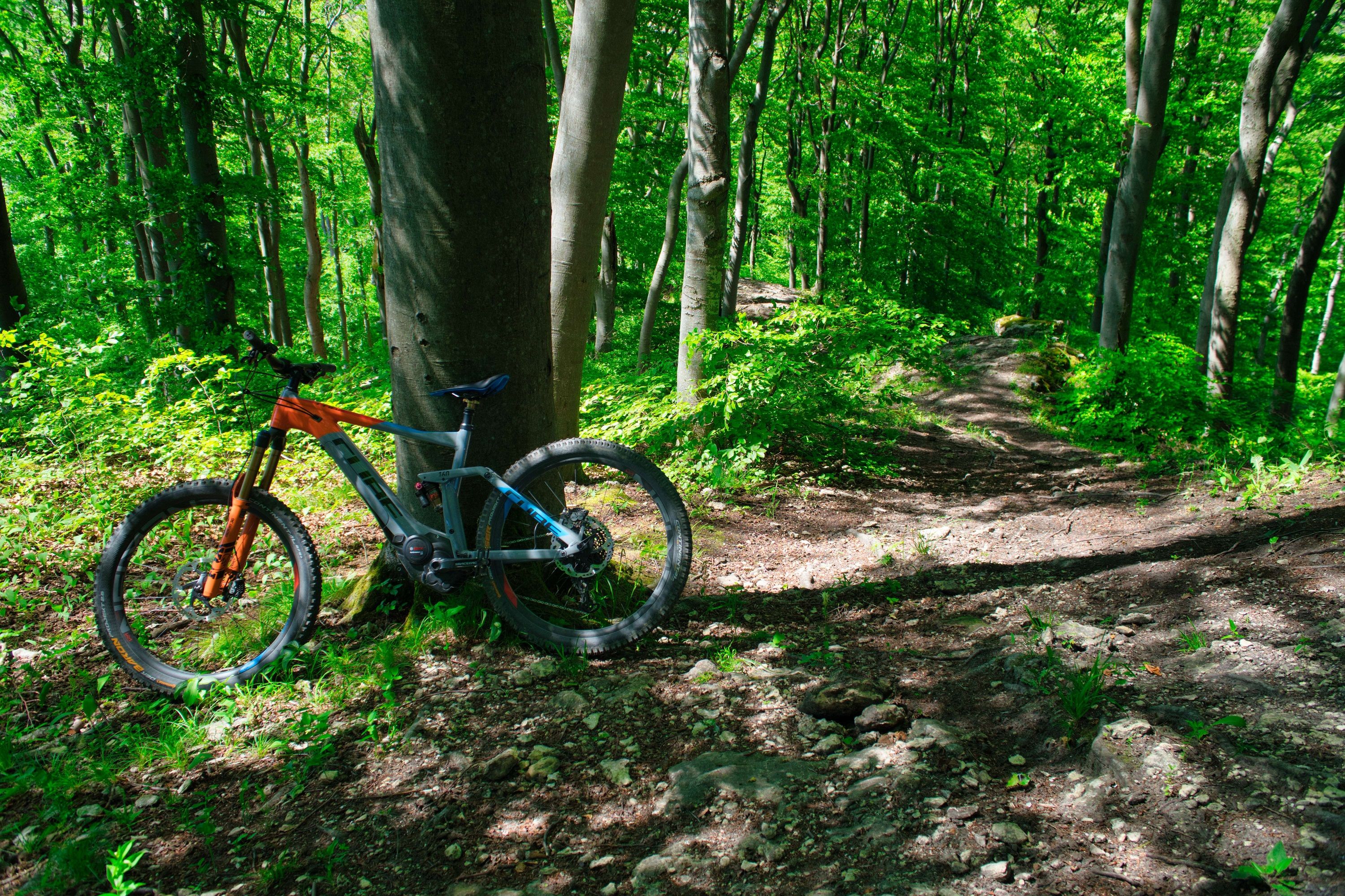 StSt1-Trail-DS2.jpg