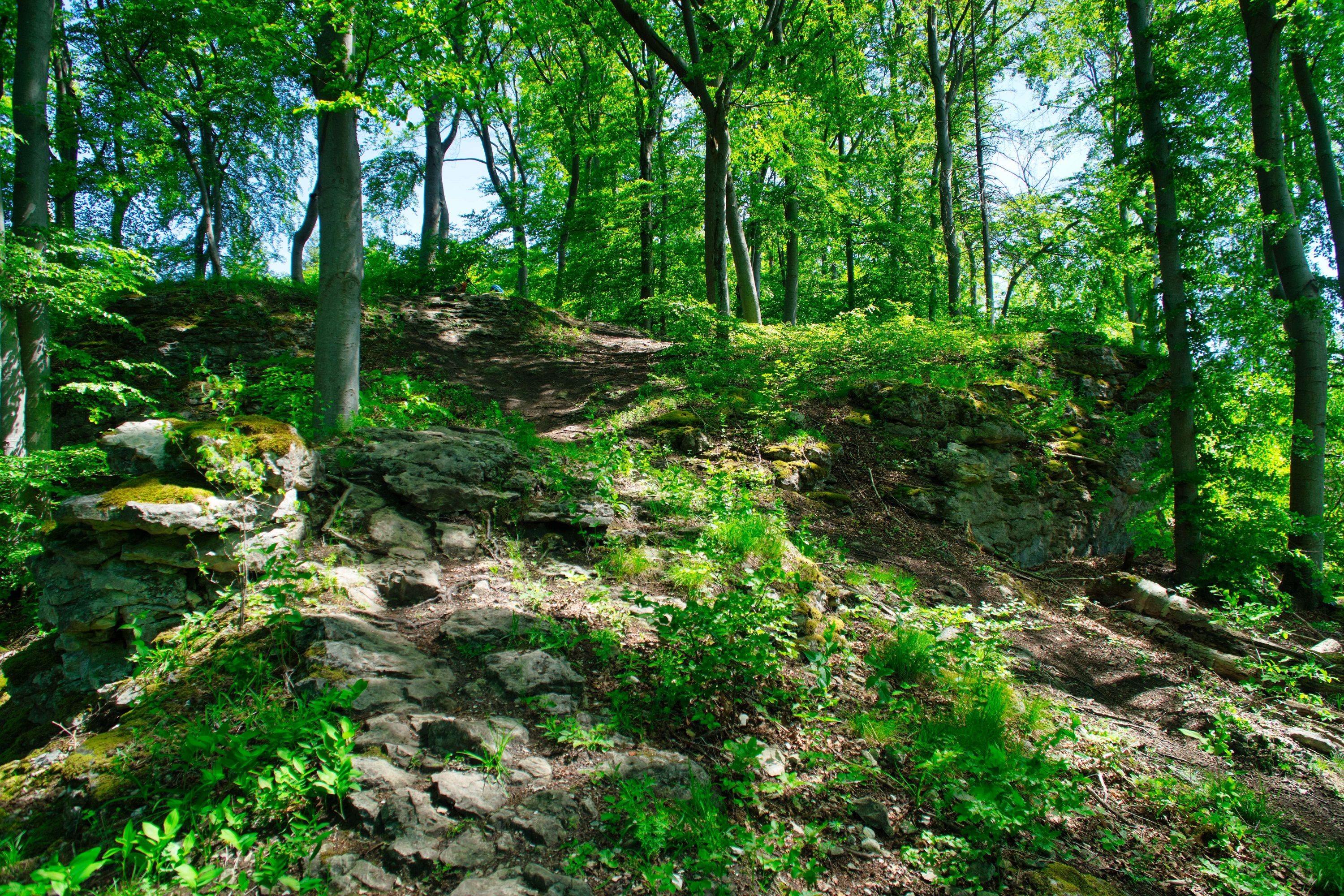 StSt3_Trail_AC2.jpg