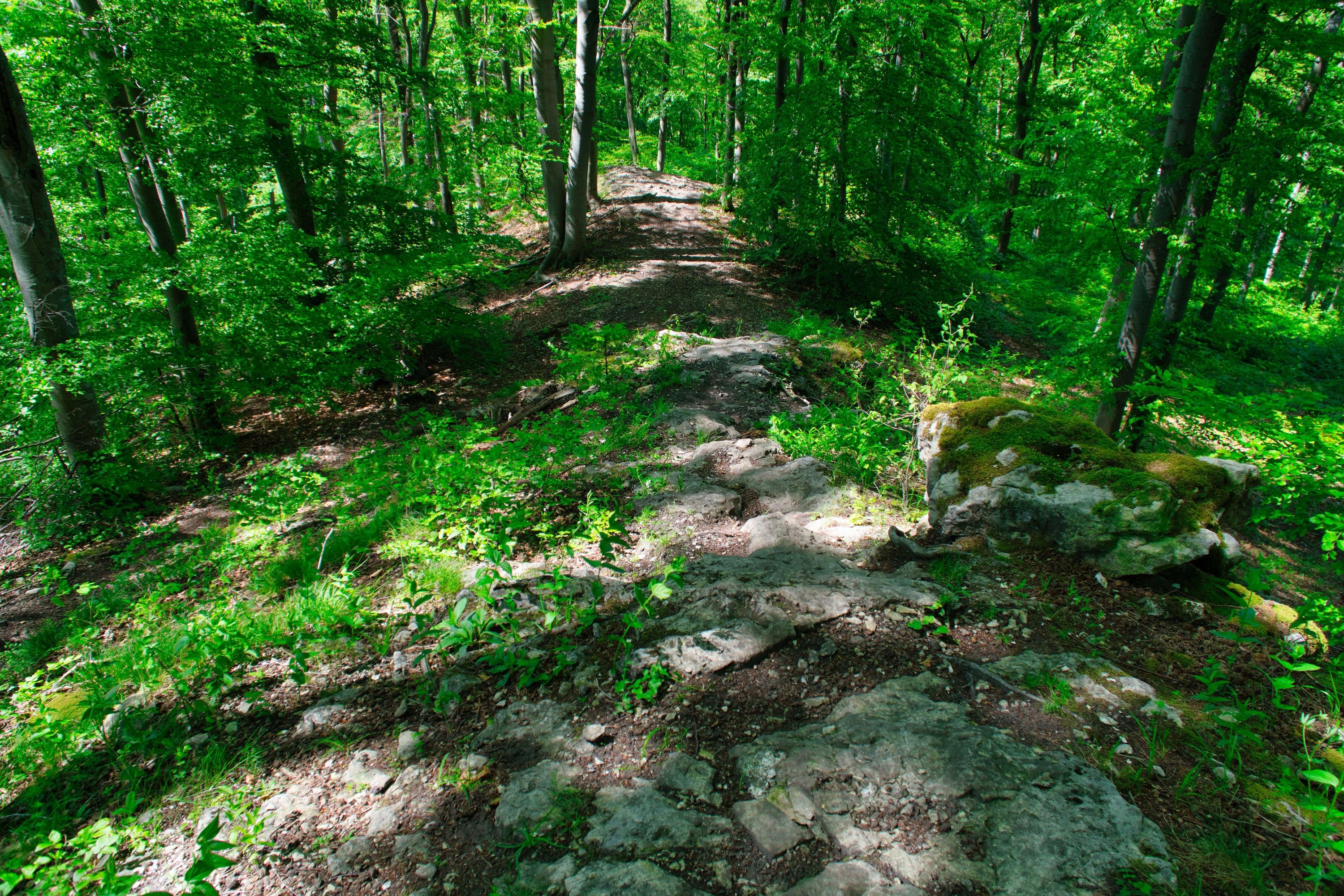 StSt4_Trail_AC2.jpg