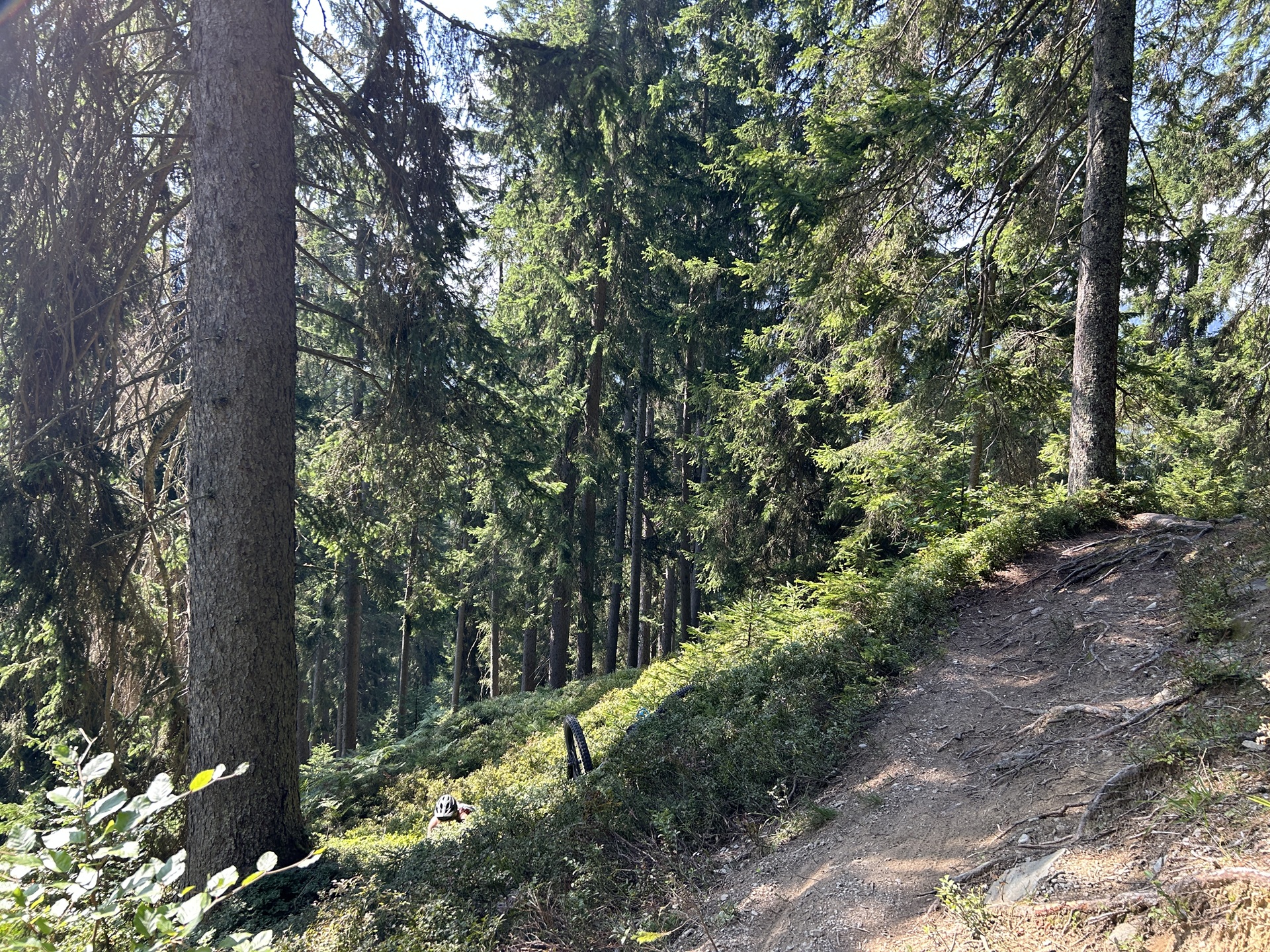 Sturz ohne Verletzungen.jpg