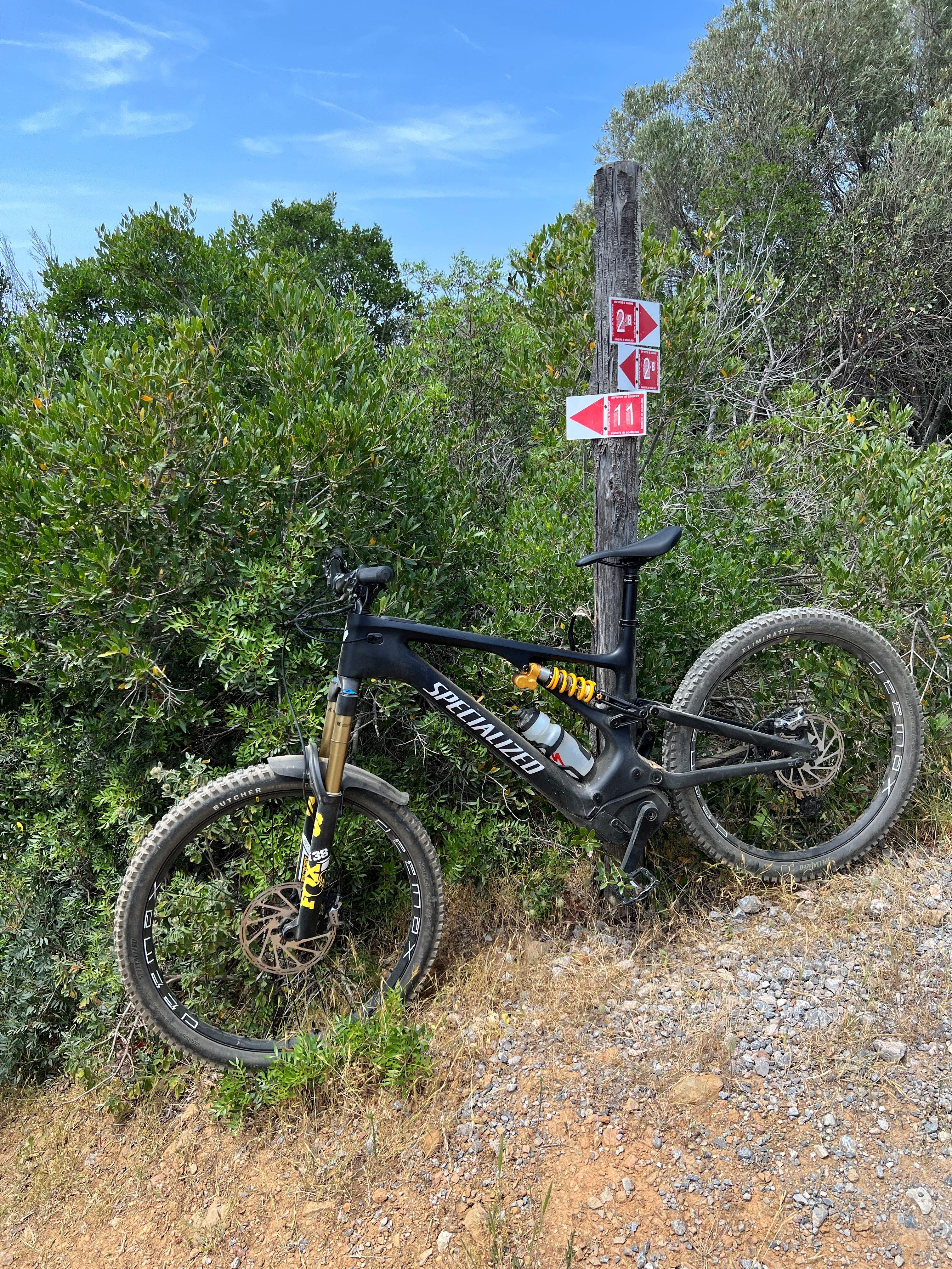 Tag3_Trail.jpg
