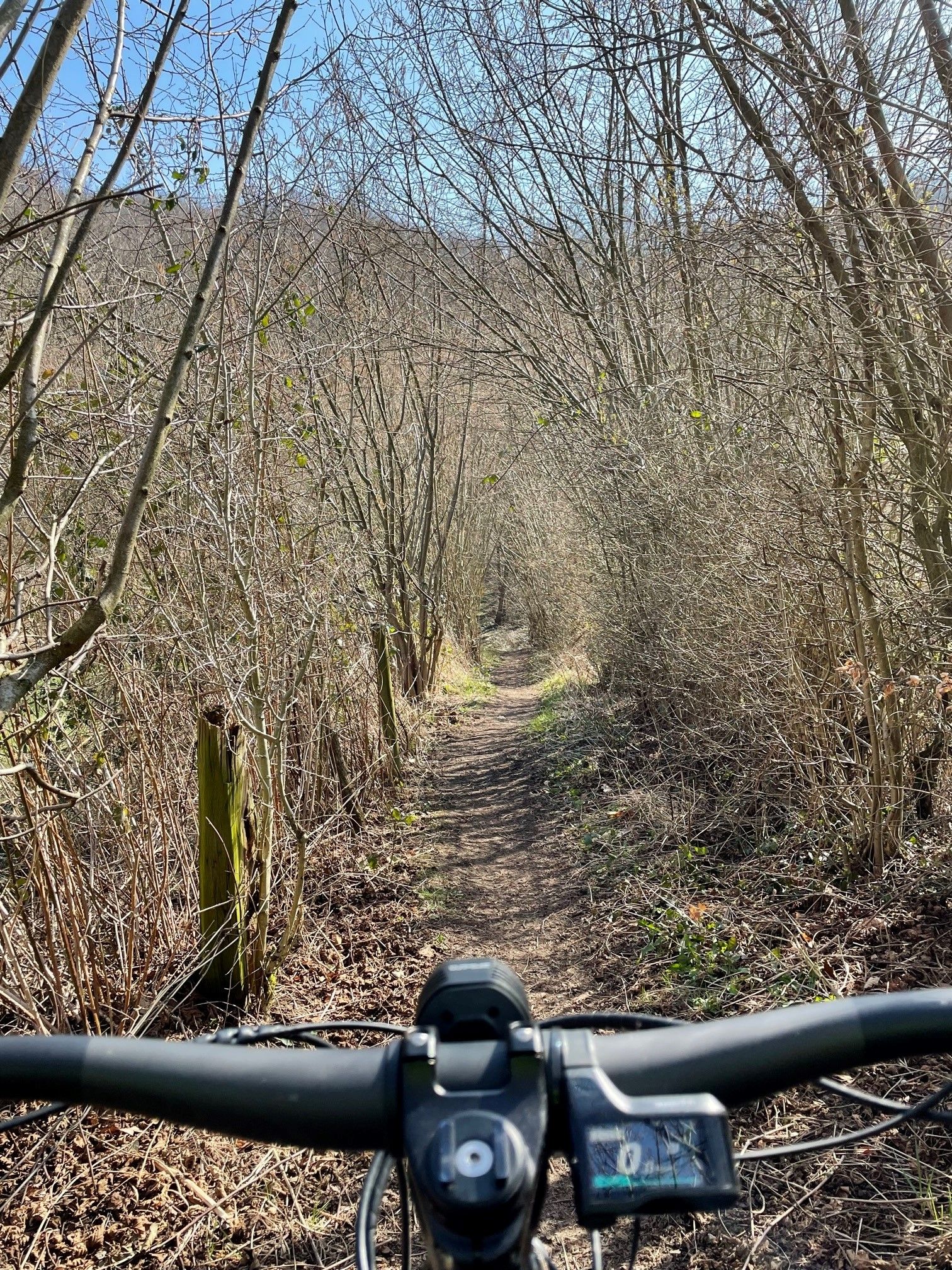 Trail 1.jpg