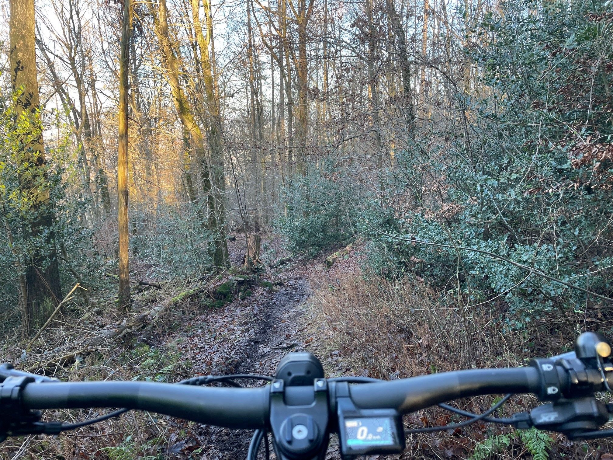 Trail 2.jpg