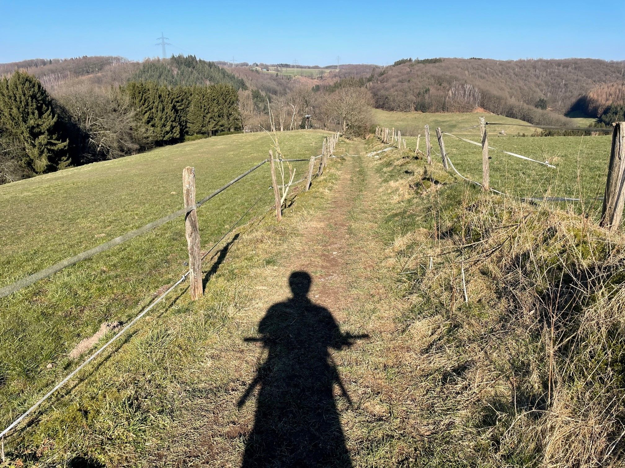 Trail 3.jpg