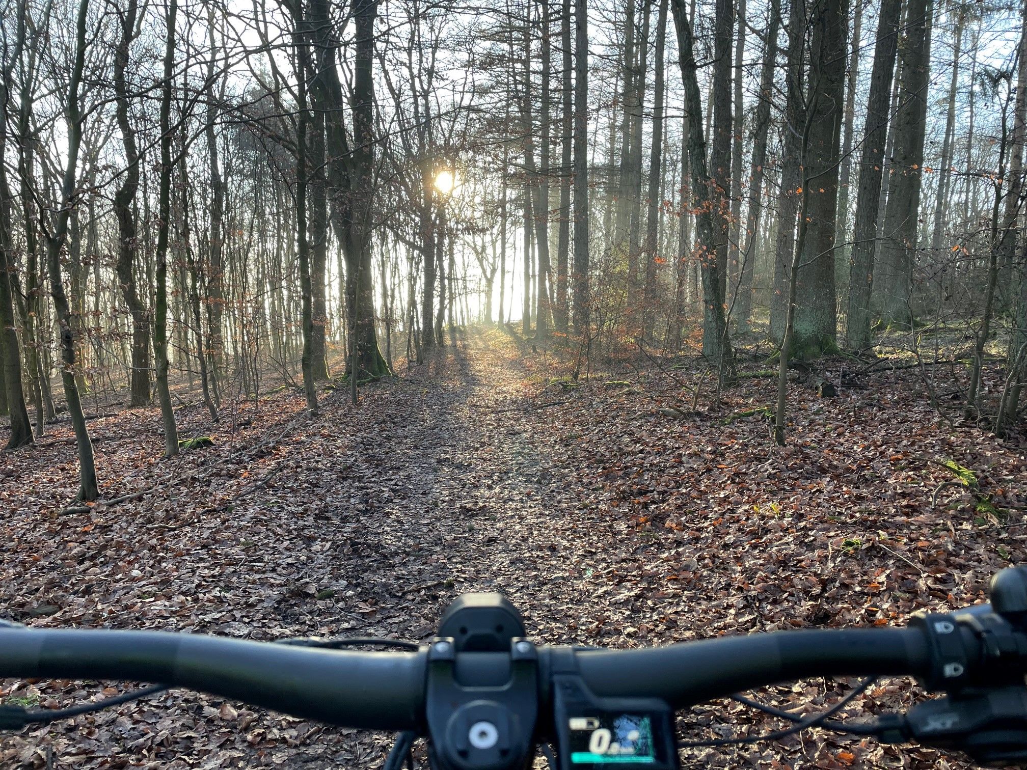 Trail 4.jpg