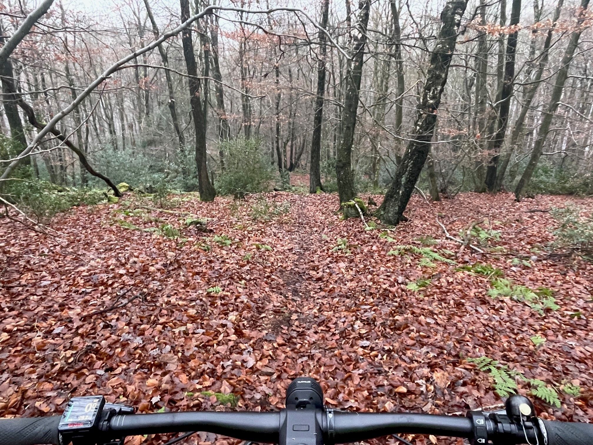 Trail kaum zu sehen.jpg