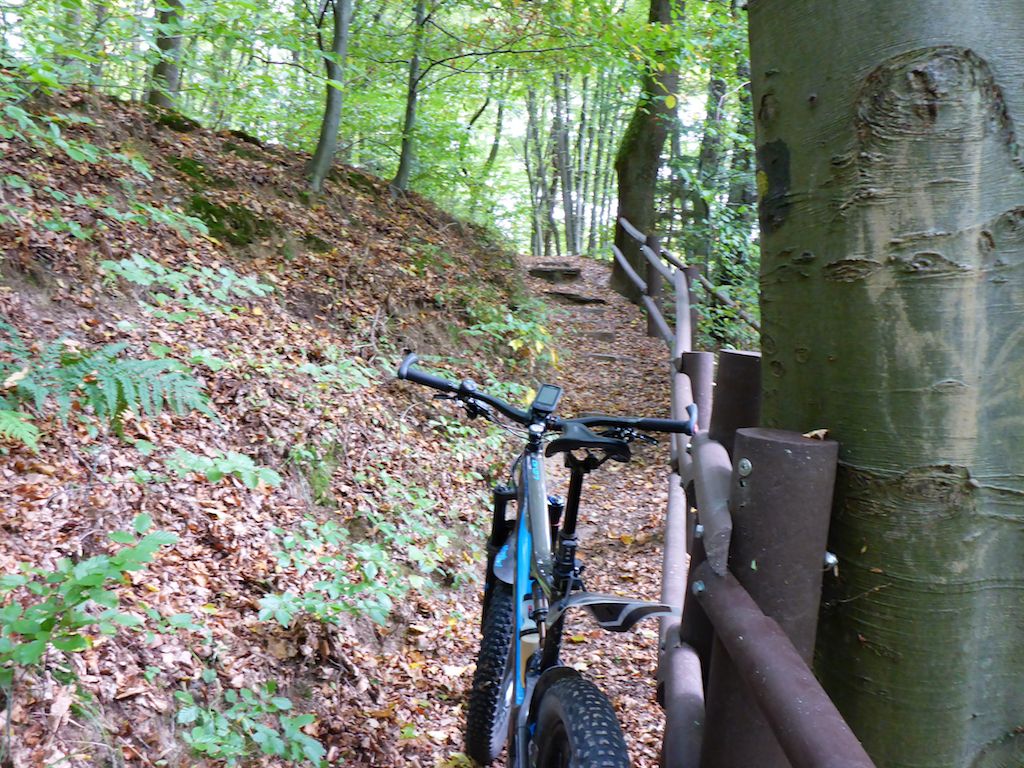 Trail Limbach 12.jpg
