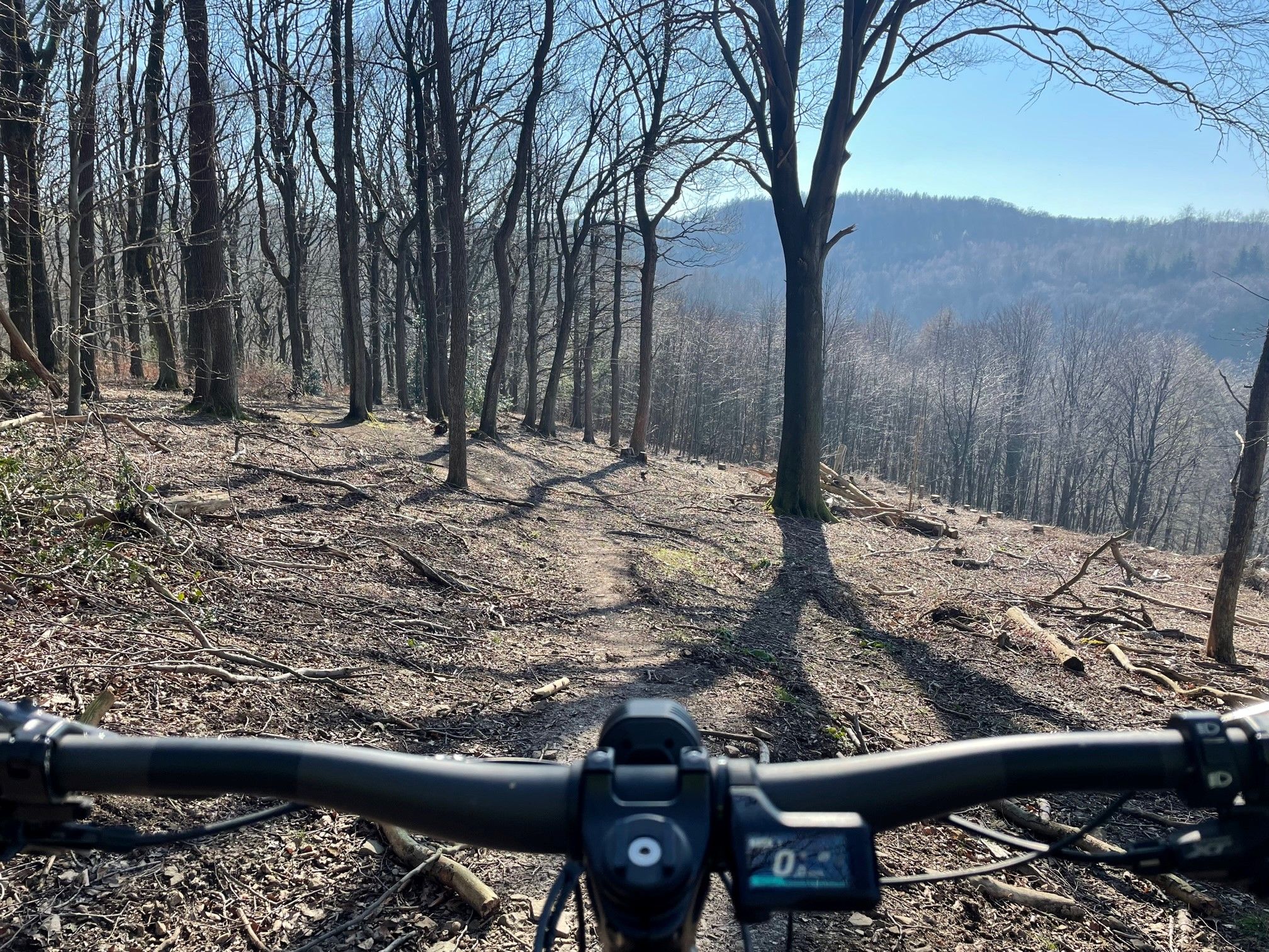 Trail mit Ausblick.jpg
