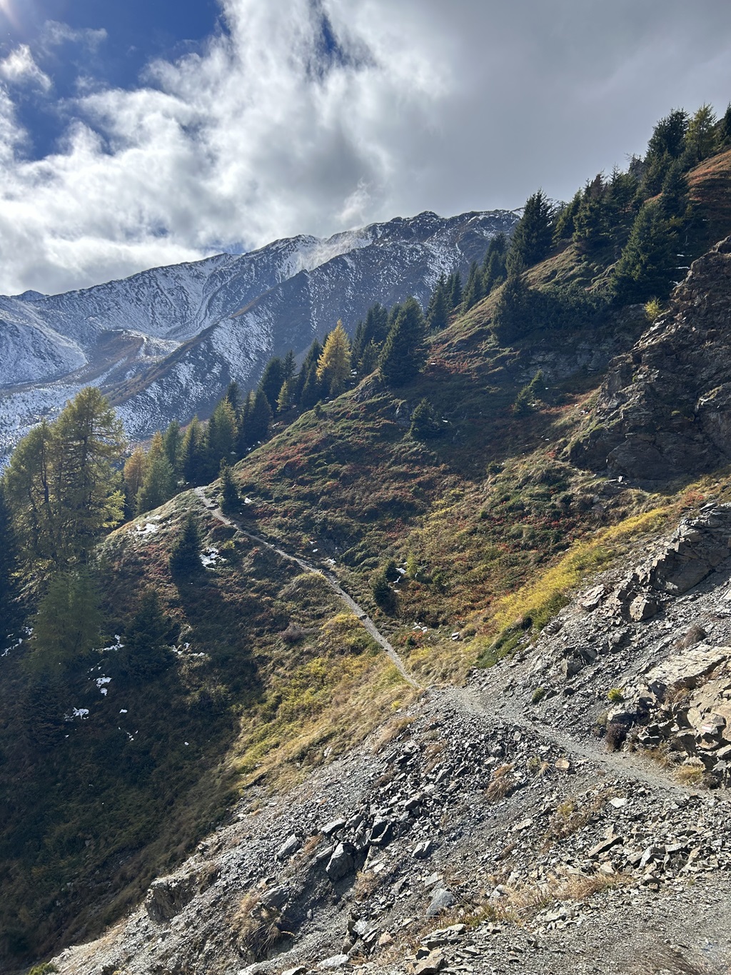 Trail von der Furkelhütte zur Oberen Stilfser Alm 3.Tag verkleinert.jpg
