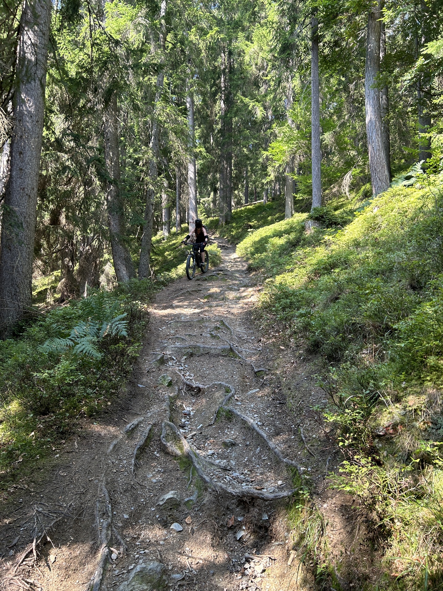 Trailabfahrt vom Rossbrand verfremdet.jpg