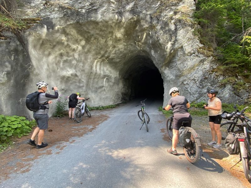 Tunnelbergwald.jpg