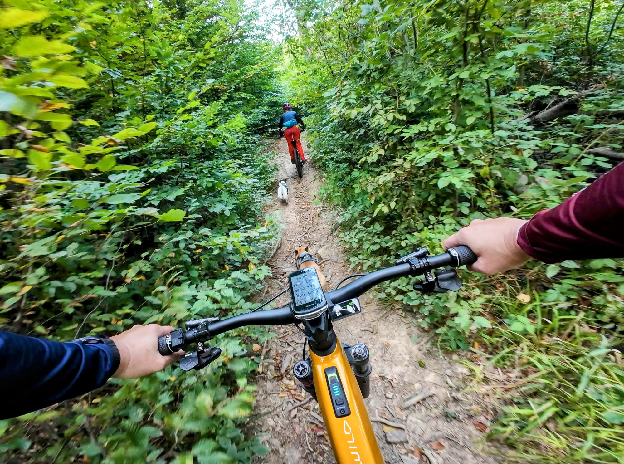 vf_dji_mimo_20250826_090416_0_1756200556113_video_13456~2.jpeg