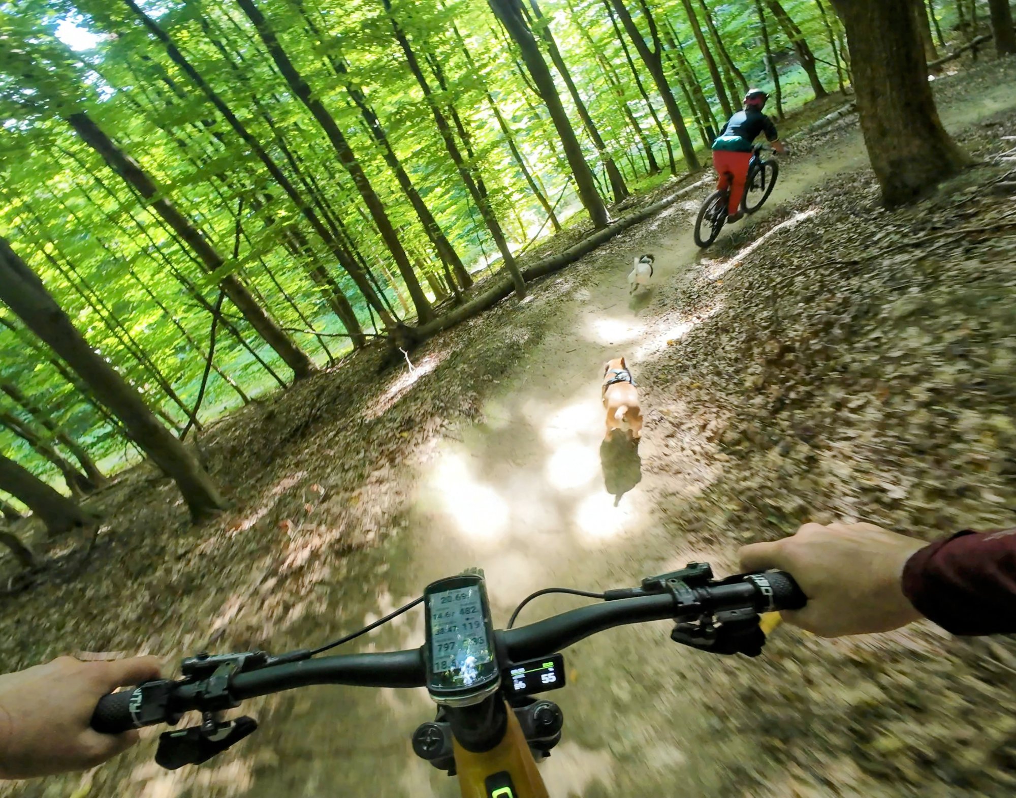 vf_dji_mimo_20250826_093628_0_1756200869244_video_57007~2.jpeg