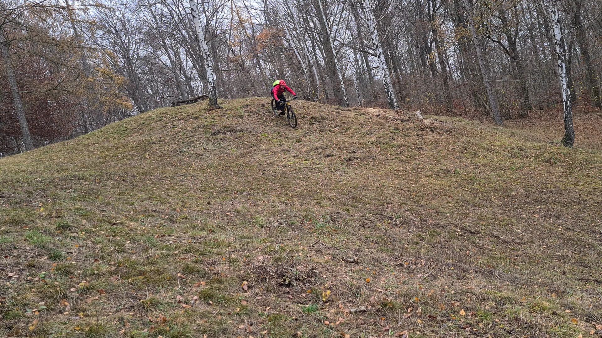 VideoCapture_20201126-103641.jpg